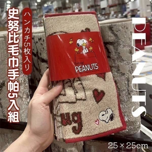現貨 🇯🇵 日本 nishikawa 西川 SNOOPY 史努比 雙面方巾5入組 雙面毛巾5入組-細節圖2