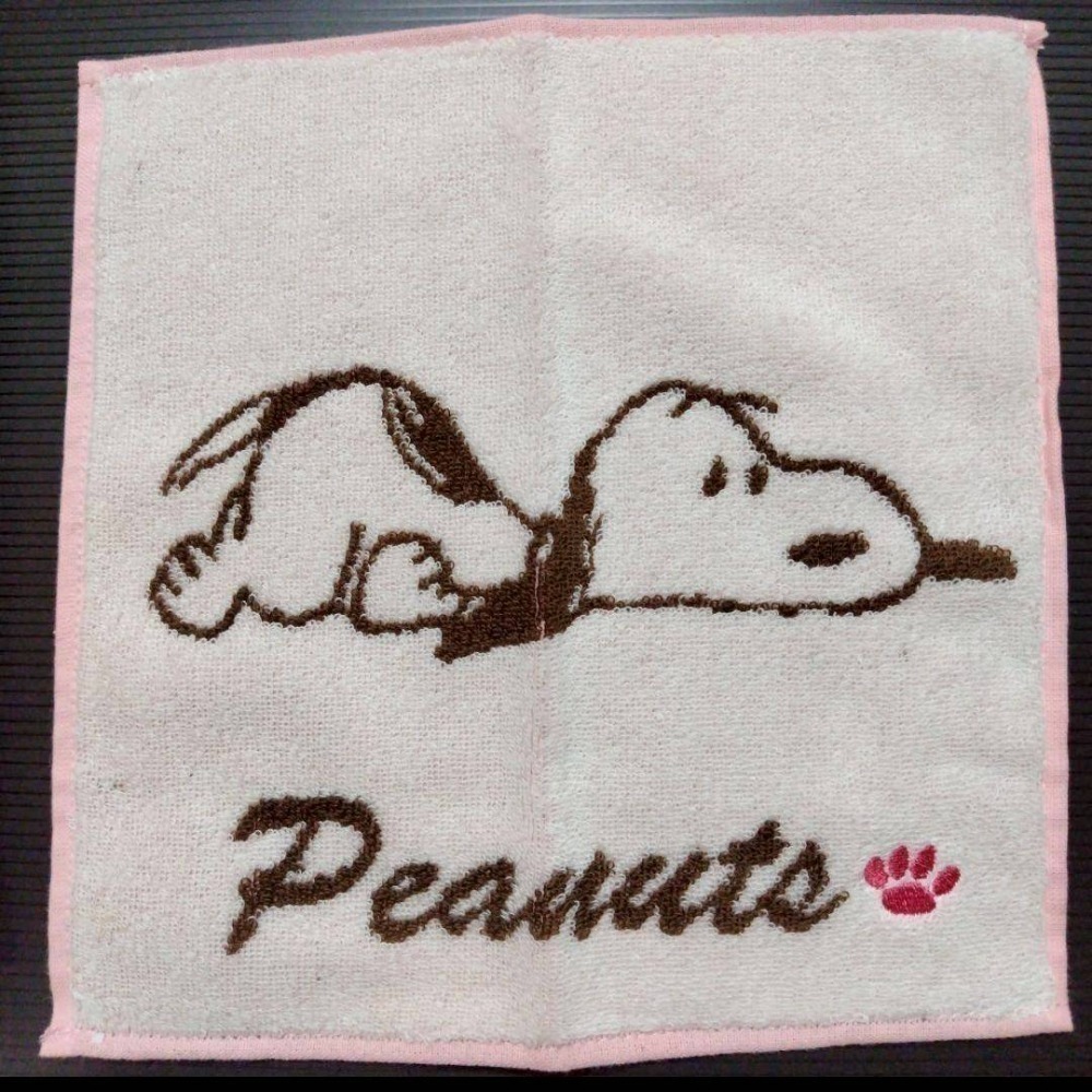 現貨 🇯🇵 日本 nishikawa 西川 SNOOPY 史努比 雙面方巾5入組 雙面毛巾5入組-細節圖7