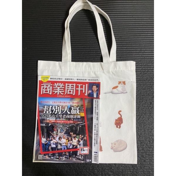 出清特價【台灣出貨 超商滿額免運】韓版 貓咪帆布托特包 大容量 百搭 托特包 單肩包側背包帆布包 太空包-細節圖6