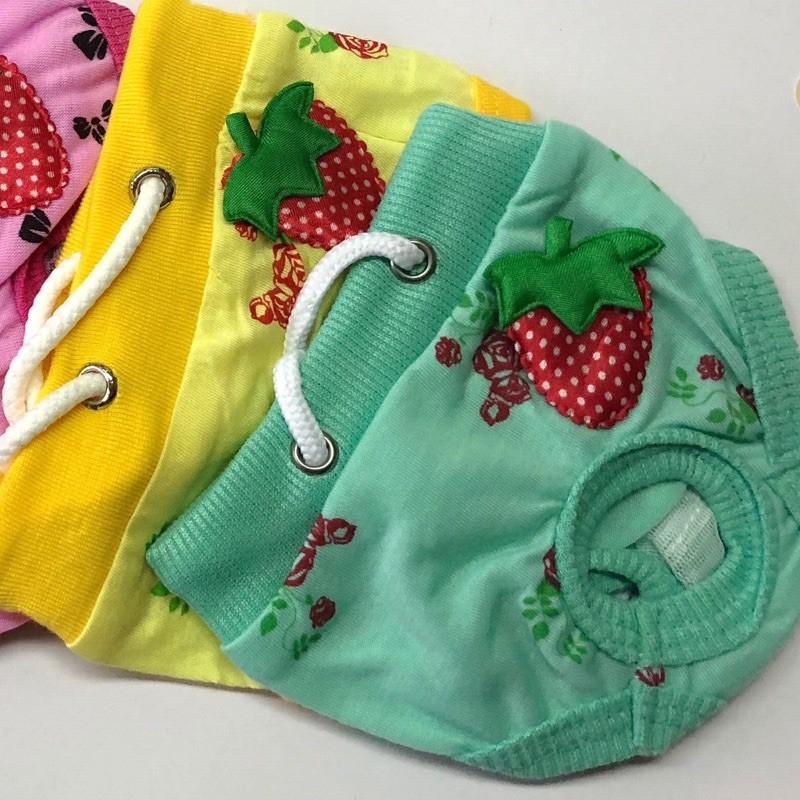 【台灣現貨】條紋寵物生理褲 寵物生理褲/狗狗生理褲/狗生理褲/狗內褲/寵物內褲可愛寵物生理褲-細節圖2