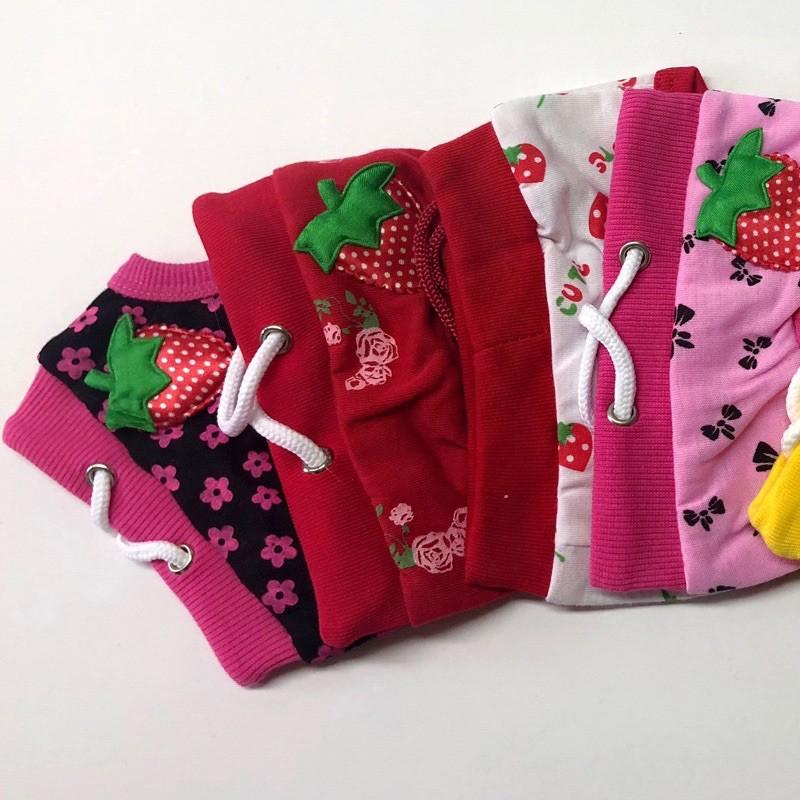 【台灣現貨】條紋寵物生理褲 寵物生理褲/狗狗生理褲/狗生理褲/狗內褲/寵物內褲可愛寵物生理褲-細節圖3