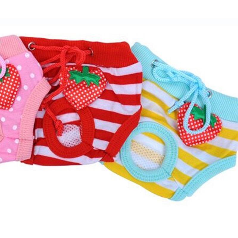 【台灣現貨】條紋寵物生理褲 寵物生理褲/狗狗生理褲/狗生理褲/狗內褲/寵物內褲可愛寵物生理褲-細節圖4