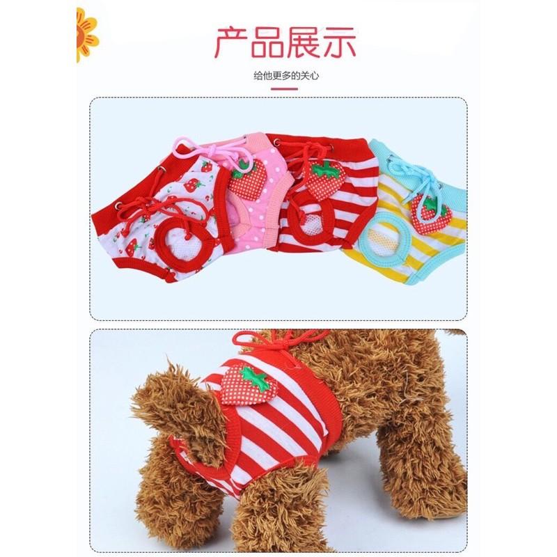 【台灣現貨】條紋寵物生理褲 寵物生理褲/狗狗生理褲/狗生理褲/狗內褲/寵物內褲可愛寵物生理褲-細節圖5