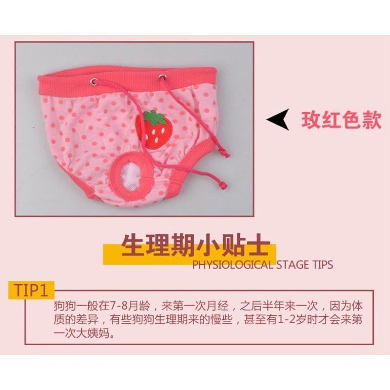 【台灣現貨】條紋寵物生理褲 寵物生理褲/狗狗生理褲/狗生理褲/狗內褲/寵物內褲可愛寵物生理褲-細節圖6
