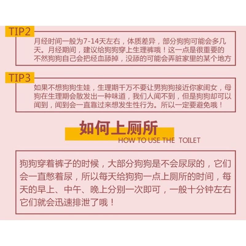 【台灣現貨】條紋寵物生理褲 寵物生理褲/狗狗生理褲/狗生理褲/狗內褲/寵物內褲可愛寵物生理褲-細節圖7