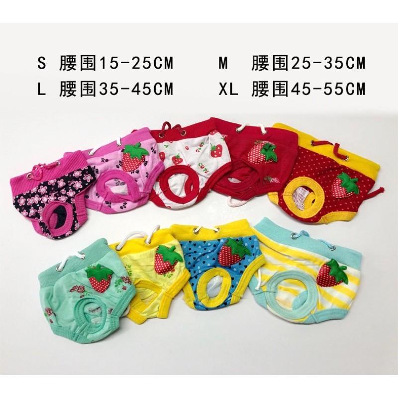 【台灣現貨】條紋寵物生理褲 寵物生理褲/狗狗生理褲/狗生理褲/狗內褲/寵物內褲可愛寵物生理褲-細節圖8