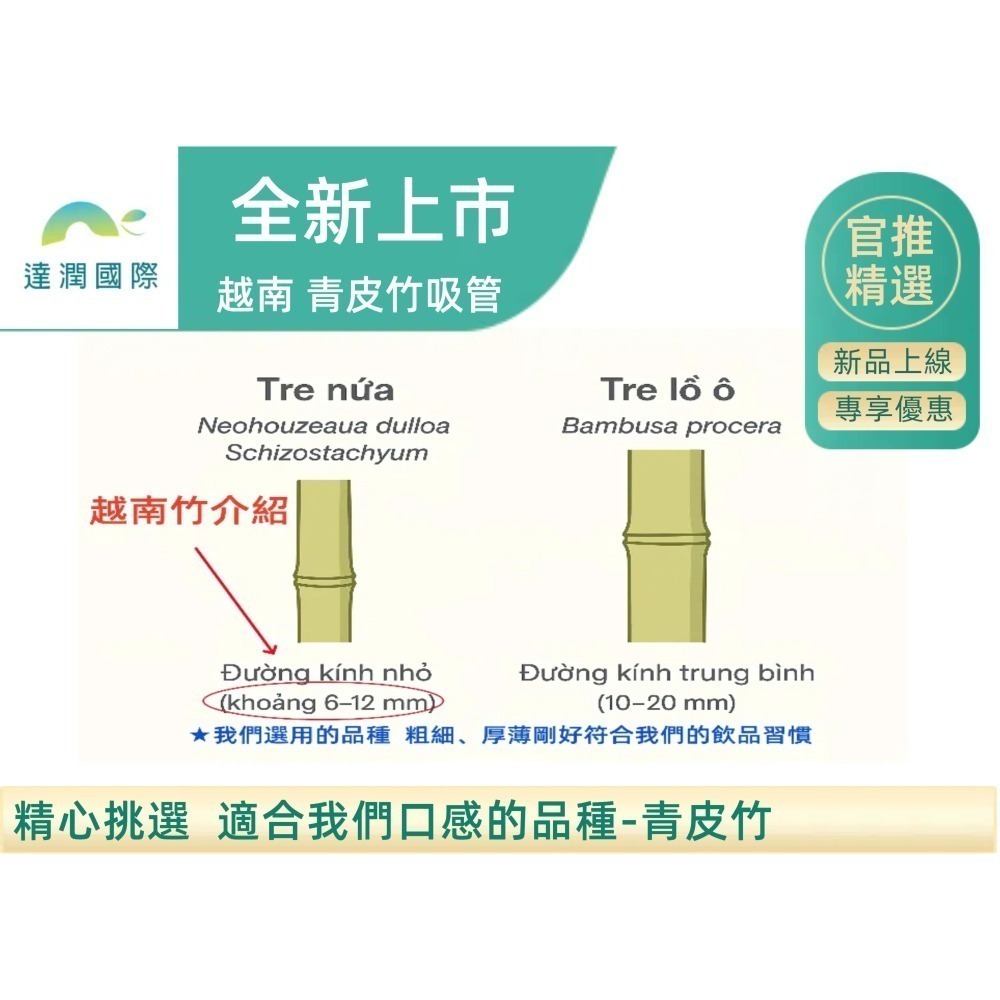 DR達潤 天然竹吸管-細節圖3