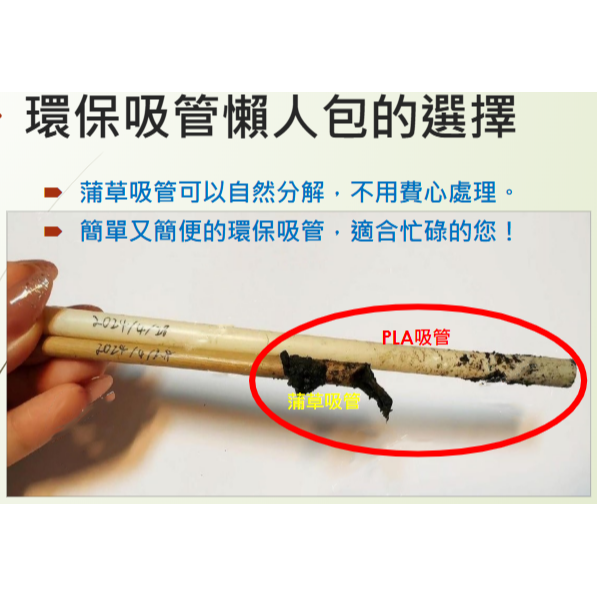 DR達潤天然蒲草吸管(散裝)-細節圖3