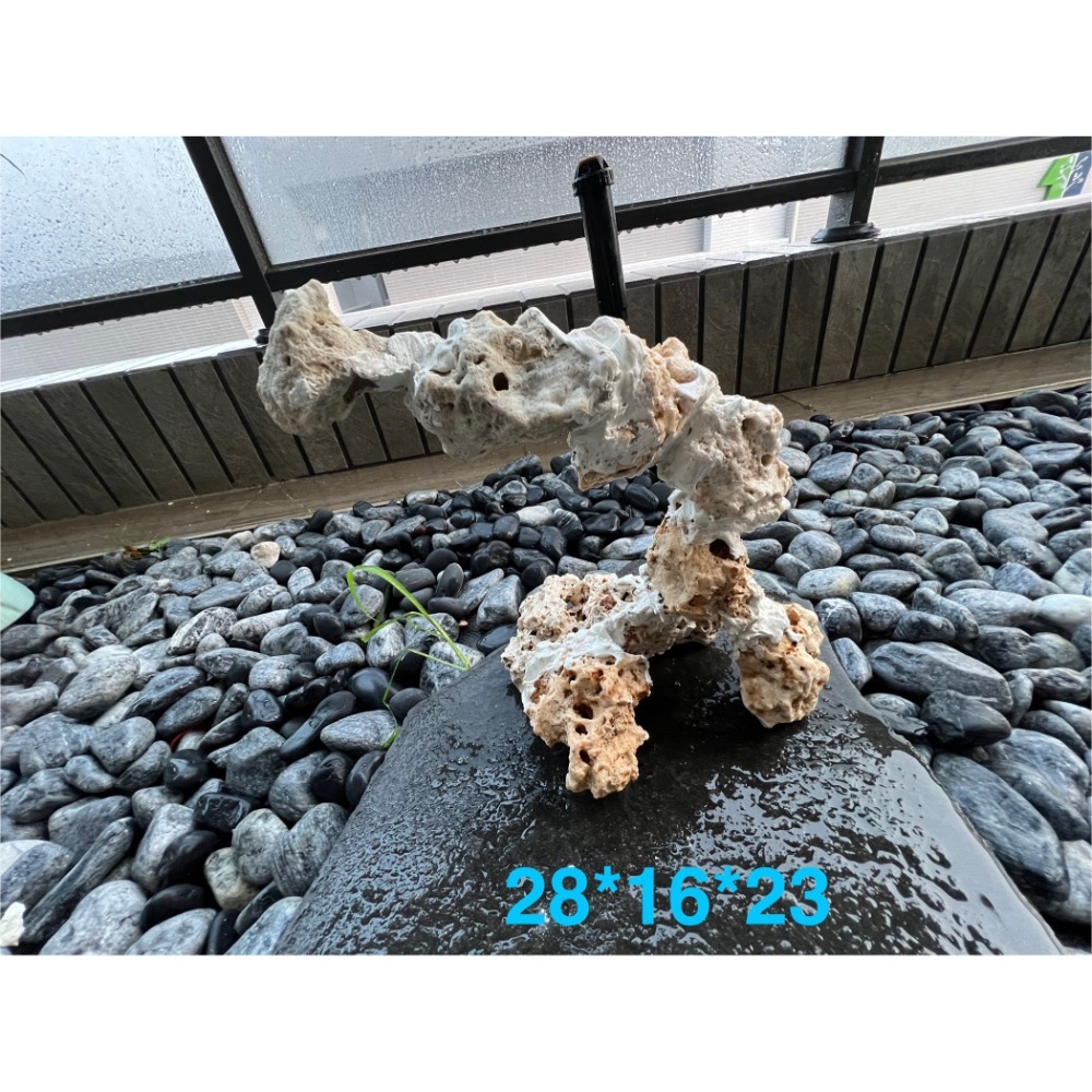 夢幻手工海水缸造景石｜咕咕石造型｜適用奈米缸/珊瑚缸-細節圖2