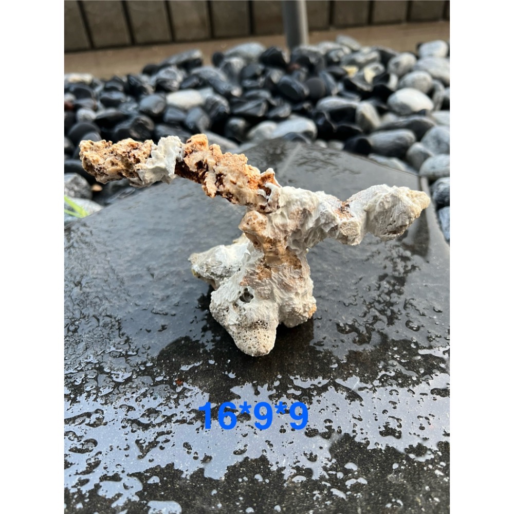 海水魚缸造景石｜咕咕石創意造型｜打造專屬珊瑚缸世界景」-細節圖2