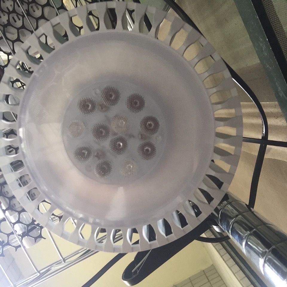 【互丞】 聚光投射燈泡型 led 植物燈 台灣製造 par燈 多肉 鹿角蕨 觀葉 塊根 龍舌蘭 大卷 一般植物-細節圖3