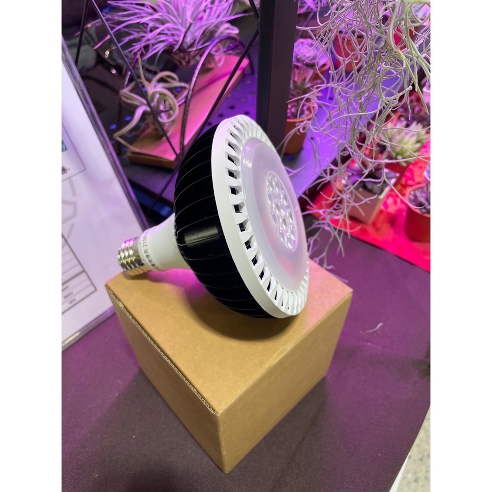【互丞】 聚光投射燈泡型 led 植物燈 台灣製造 par燈 多肉 鹿角蕨 觀葉 塊根 龍舌蘭 大卷 一般植物-細節圖5