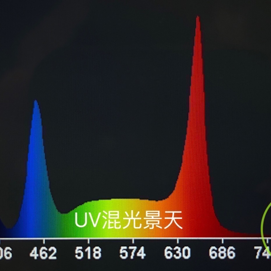 【互丞】UV混光景天 通用型 燈管型 led 植物燈 防水 台灣製造 T8 多肉 鹿角蕨 彩葉芋 觀葉 塊根 水耕 蔬菜-細節圖3