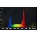 【互丞】 泛光型 led 植物燈 台灣製造 多肉 鹿角蕨 觀葉 塊根 龍舌蘭 防水 戶外 植物牆 溫室 大棚-規格圖5