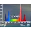 【互丞】 泛光型 led 植物燈 台灣製造 多肉 鹿角蕨 觀葉 塊根 龍舌蘭 防水 戶外 植物牆 溫室 大棚-規格圖5
