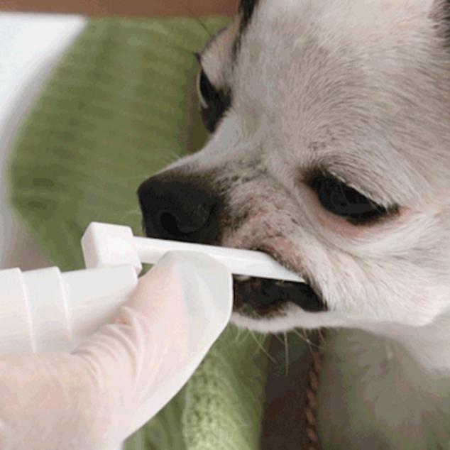 韓國Chika潔牙水噴霧 犬貓用-細節圖2