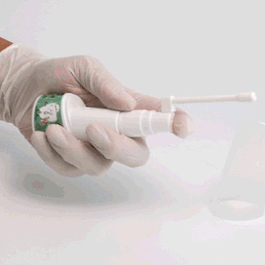 韓國Chika潔牙水噴霧 犬貓用-細節圖3