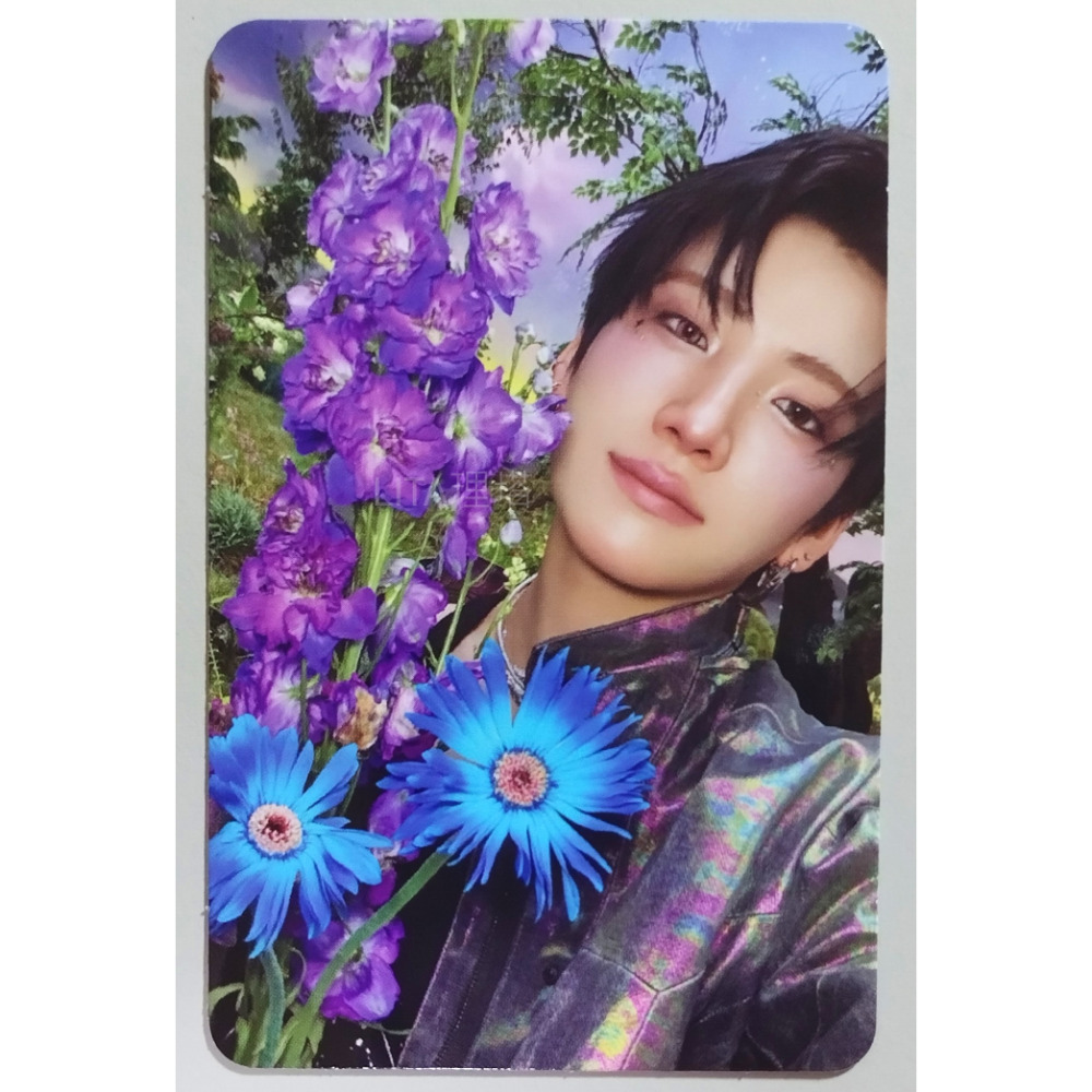 理塔。&TEAM Back to Life 官方個人封面版專輯小卡A andTEAM 恩聽 專卡 花卡 下巴卡 臉頰卡-規格圖4