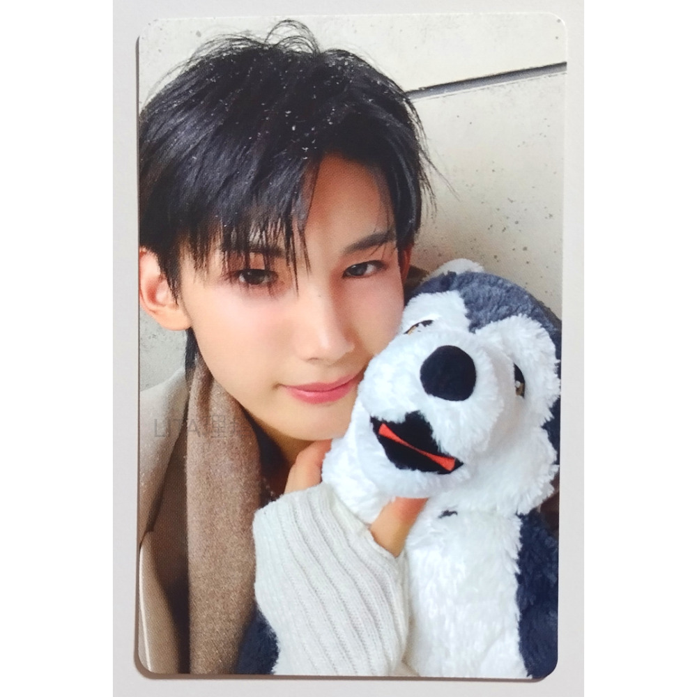 雪明かり 個封版 狼娃娃卡