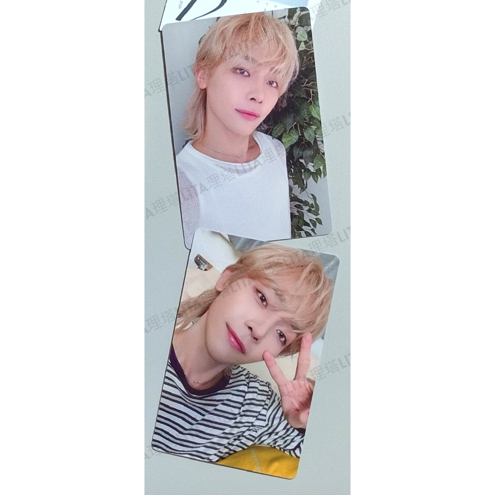 NICHOLAS 兩張小卡（無拍立得小卡和明信片