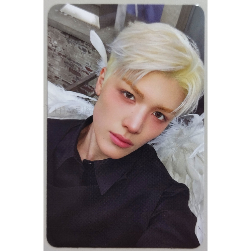 理塔。&TEAM Back to Life 官方專輯小卡 BREATH版 GAZE版 寫真書版 andTEAM 小卡-規格圖1