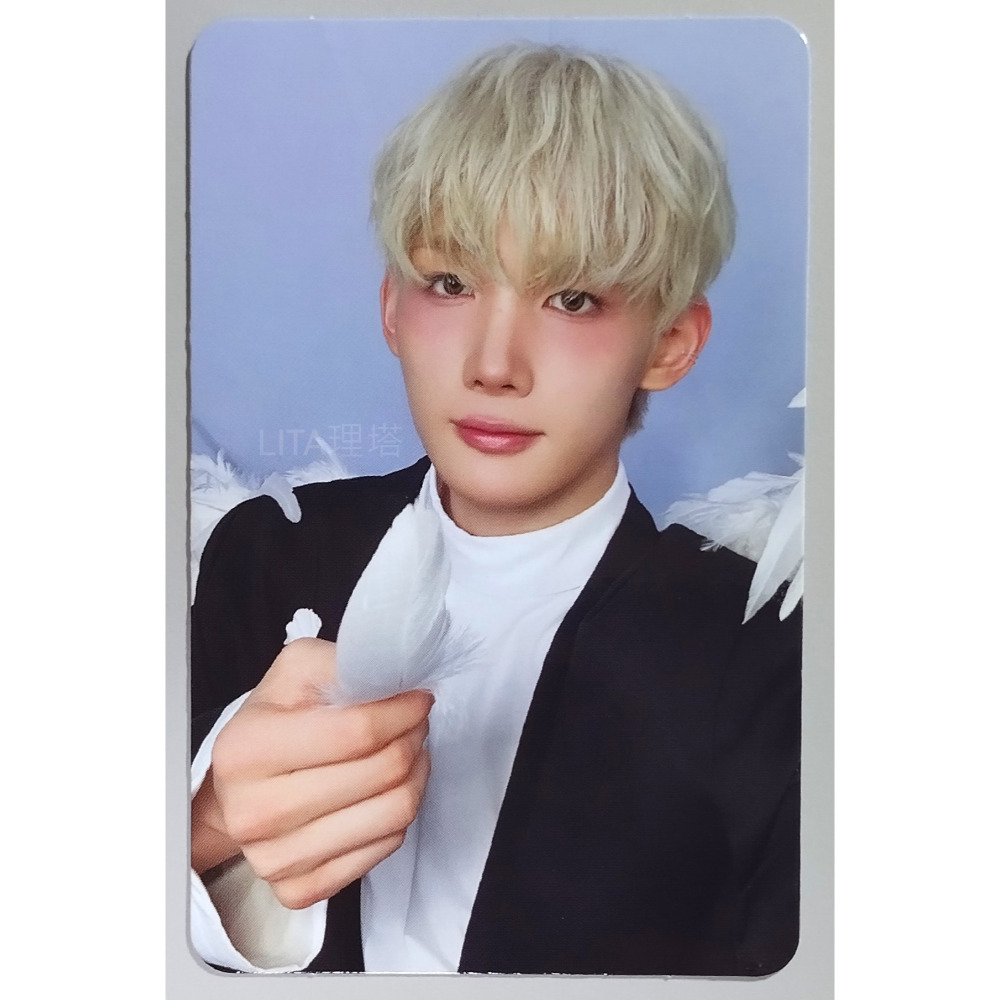 理塔。&TEAM Back to Life 官方專輯小卡 BREATH版 GAZE版 寫真書版 andTEAM 小卡-規格圖1