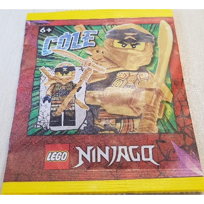 《Brick Factory》全新 樂高 LEGO 892295 71774 Cole 阿剛 Ninjago 忍者旋風