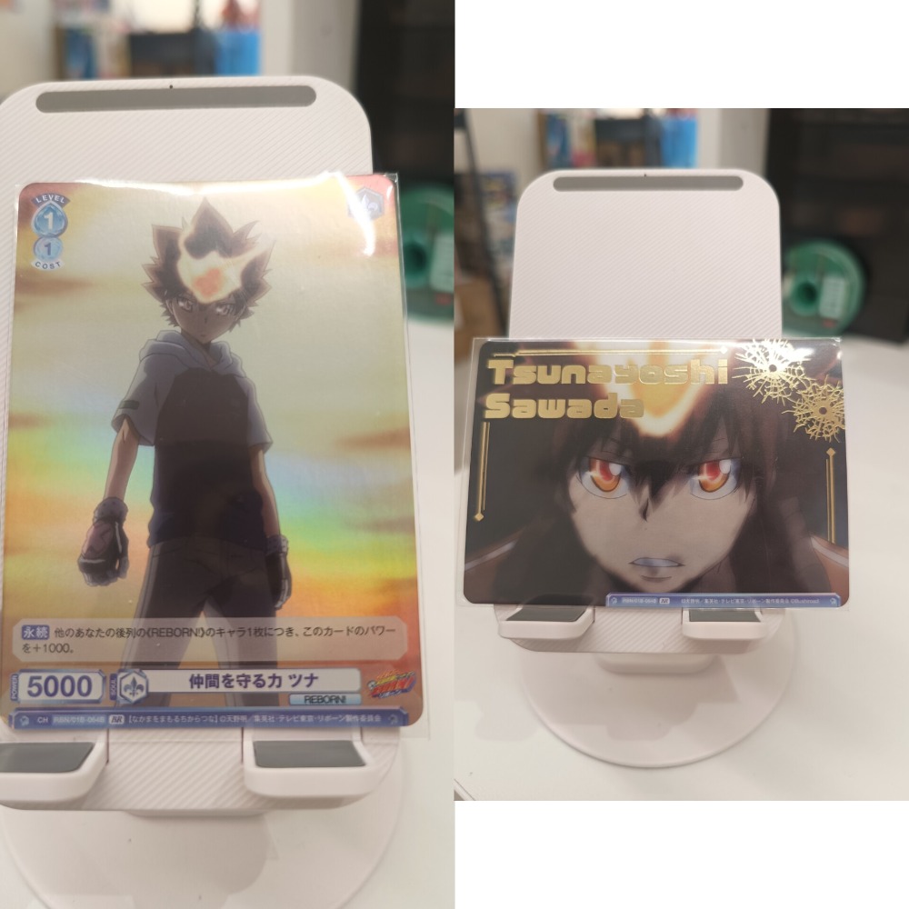 家庭教師 收藏卡 阿綱 澤田綱吉 WSB-細節圖2