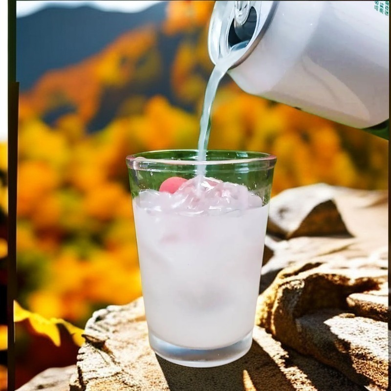 鳳梨釋迦汽泡飲-細節圖2