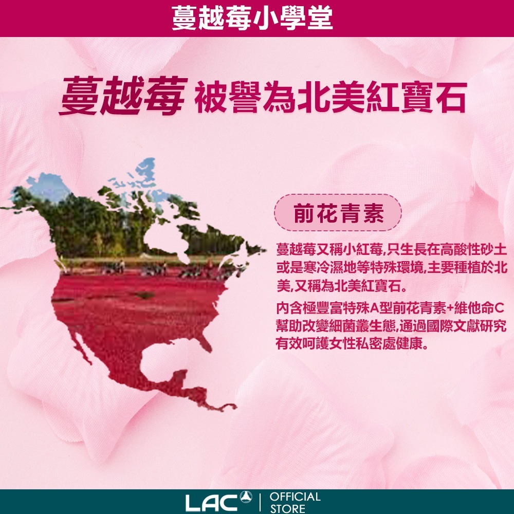 【LAC利維喜】蔓越莓膠囊100顆-細節圖5