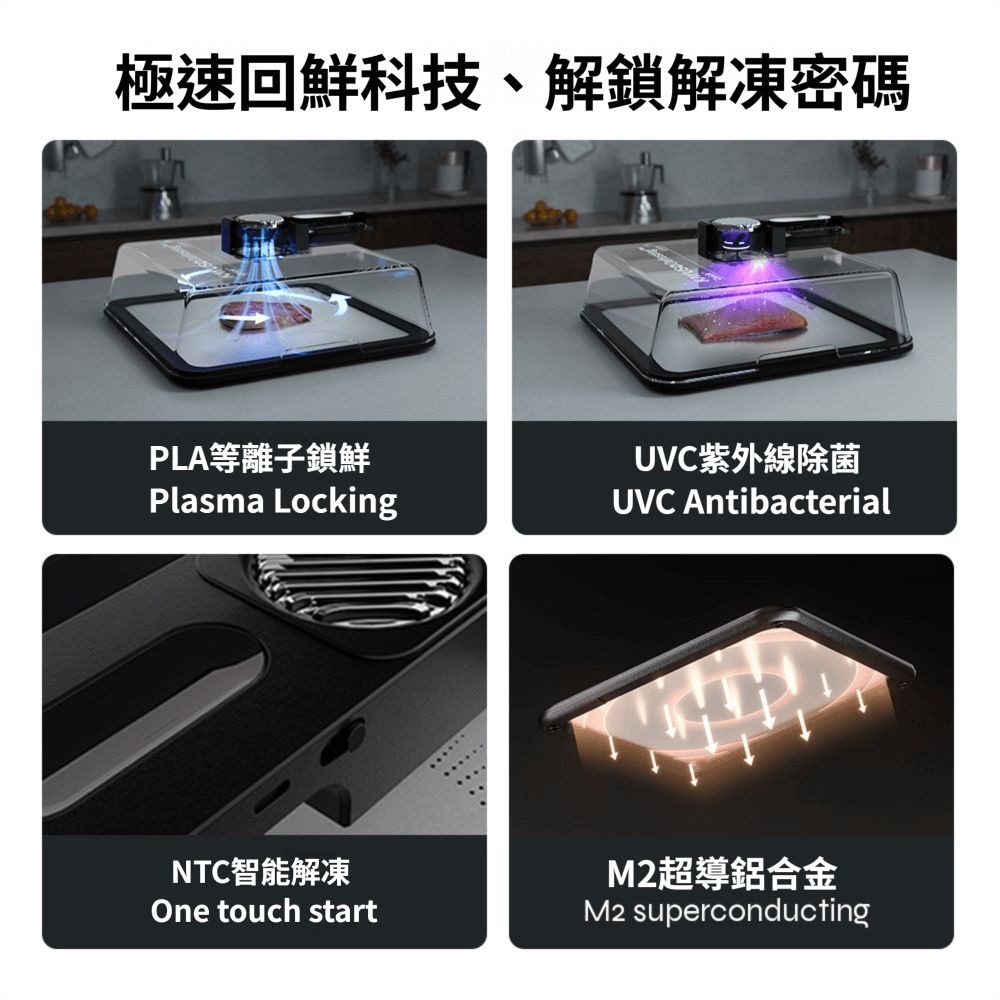 極速回鮮解凍盒 牛排 鮭魚 解凍板 解凍盒-細節圖3
