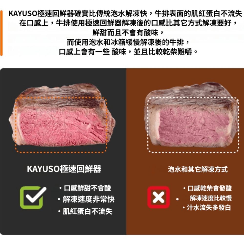 極速回鮮解凍盒 牛排 鮭魚 解凍板 解凍盒-細節圖4