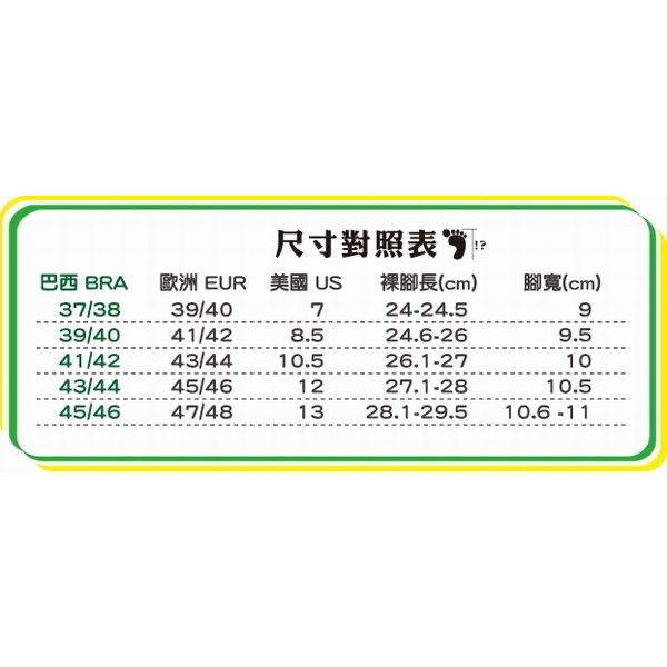 《現貨》IPANEMA CLAS URBANA MASC 男生 MEN 拖鞋 城市風情 印花 人字夾腳拖鞋-細節圖2