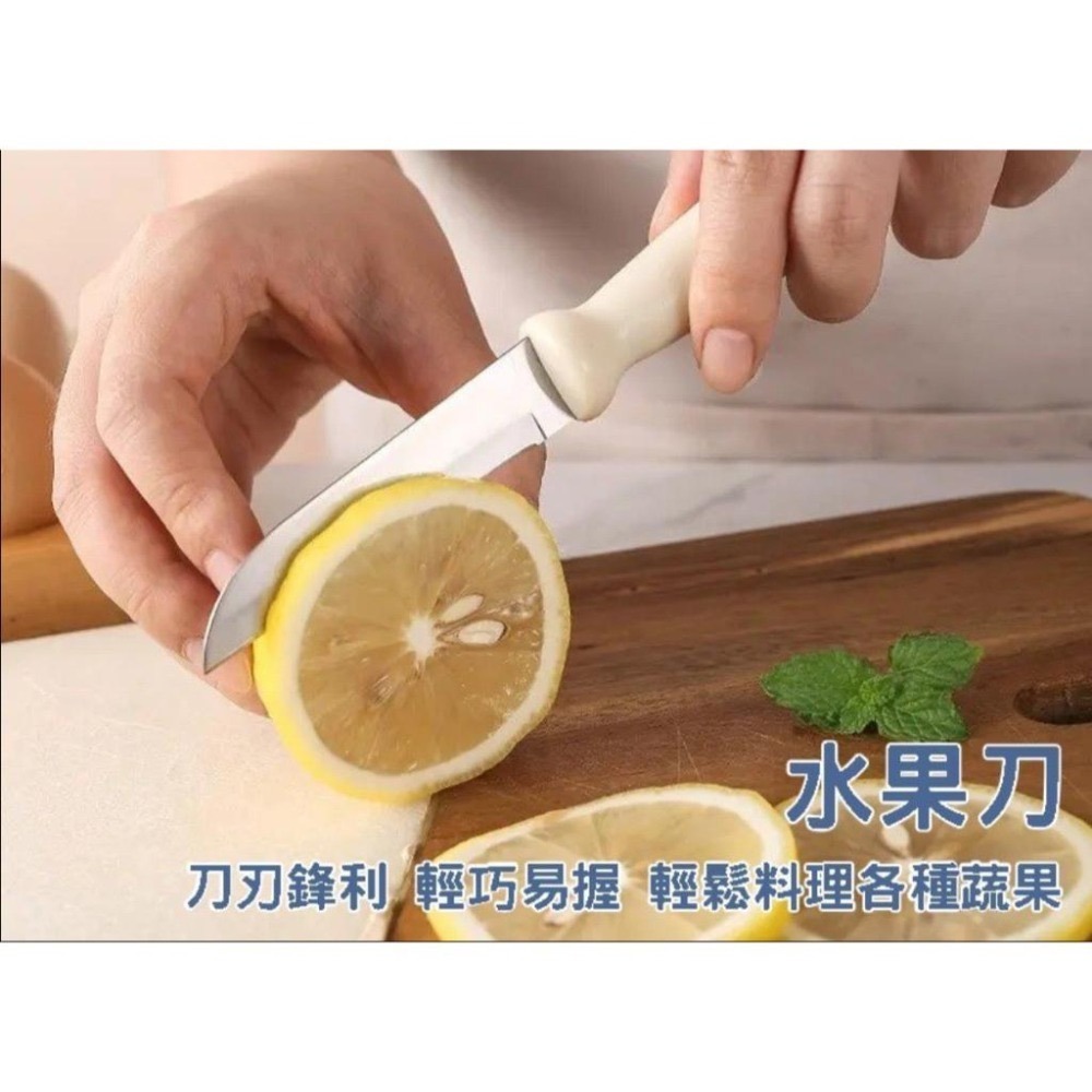 『利好』快速出貨 台灣現貨 廚房料理工具五件組 料理用具組 水果刀 料理剪刀 削皮刀 收納盒 廚房剪刀 開瓶器開罐器-細節圖6