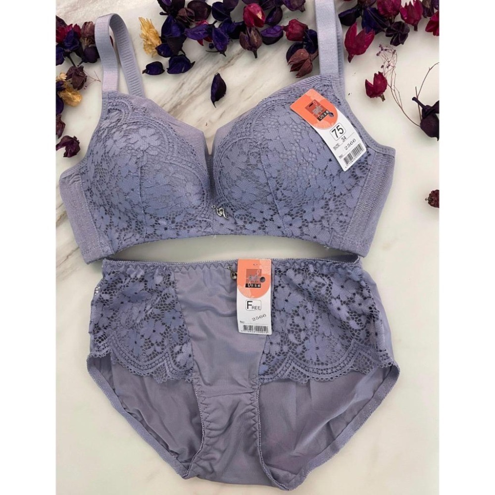 『利好』快速 降價特價💰B罩杯 無鋼圈👉透氣內裏2公分 下厚上薄 😍集中包覆👍穩定性高 寬版3排扣❤️#2566-細節圖4