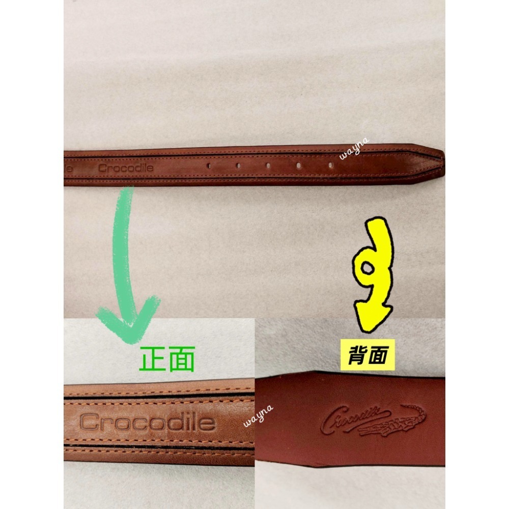 鱷魚 Crocodile  牛皮 打孔式休閒皮帶 十字紋0102-20152-細節圖2