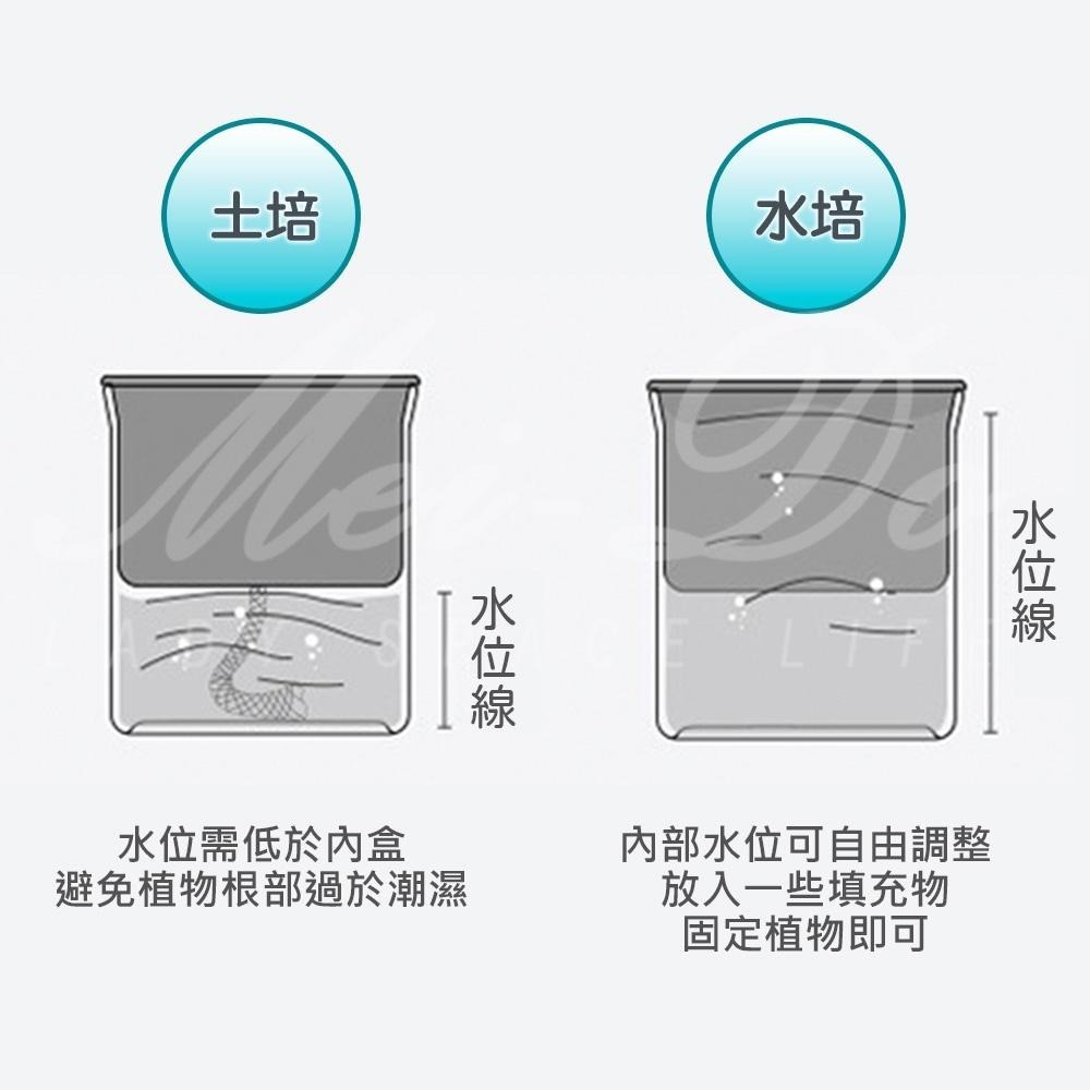 【Mei-Do】自動吸水 懶人養殖盆 水耕栽培法 吸水花盆 水培花盆 自動吸水盆栽 懶人花盆 水耕法 水耕栽培法-細節圖2
