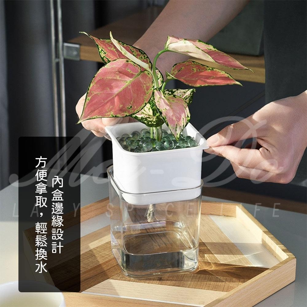 【Mei-Do】自動吸水 懶人養殖盆 水耕栽培法 吸水花盆 水培花盆 自動吸水盆栽 懶人花盆 水耕法 水耕栽培法-細節圖3