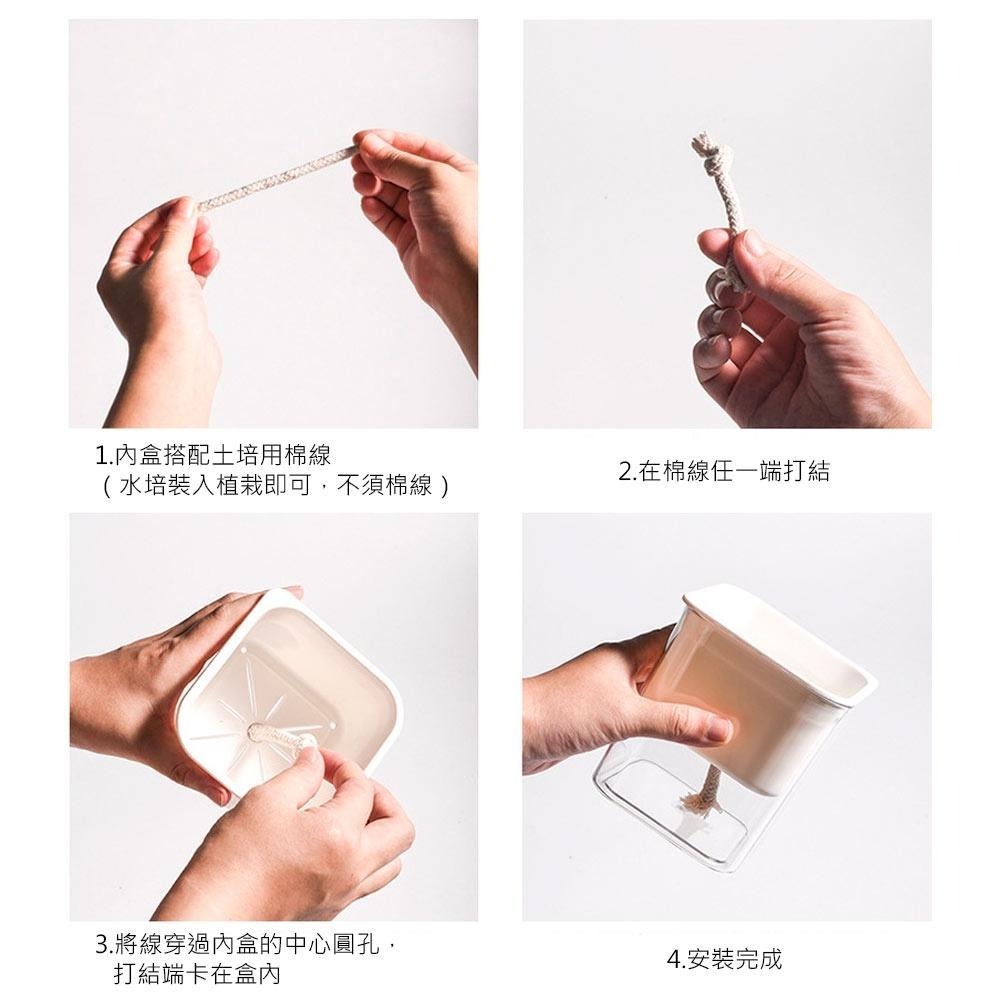 【Mei-Do】自動吸水 懶人養殖盆 水耕栽培法 吸水花盆 水培花盆 自動吸水盆栽 懶人花盆 水耕法 水耕栽培法-細節圖8