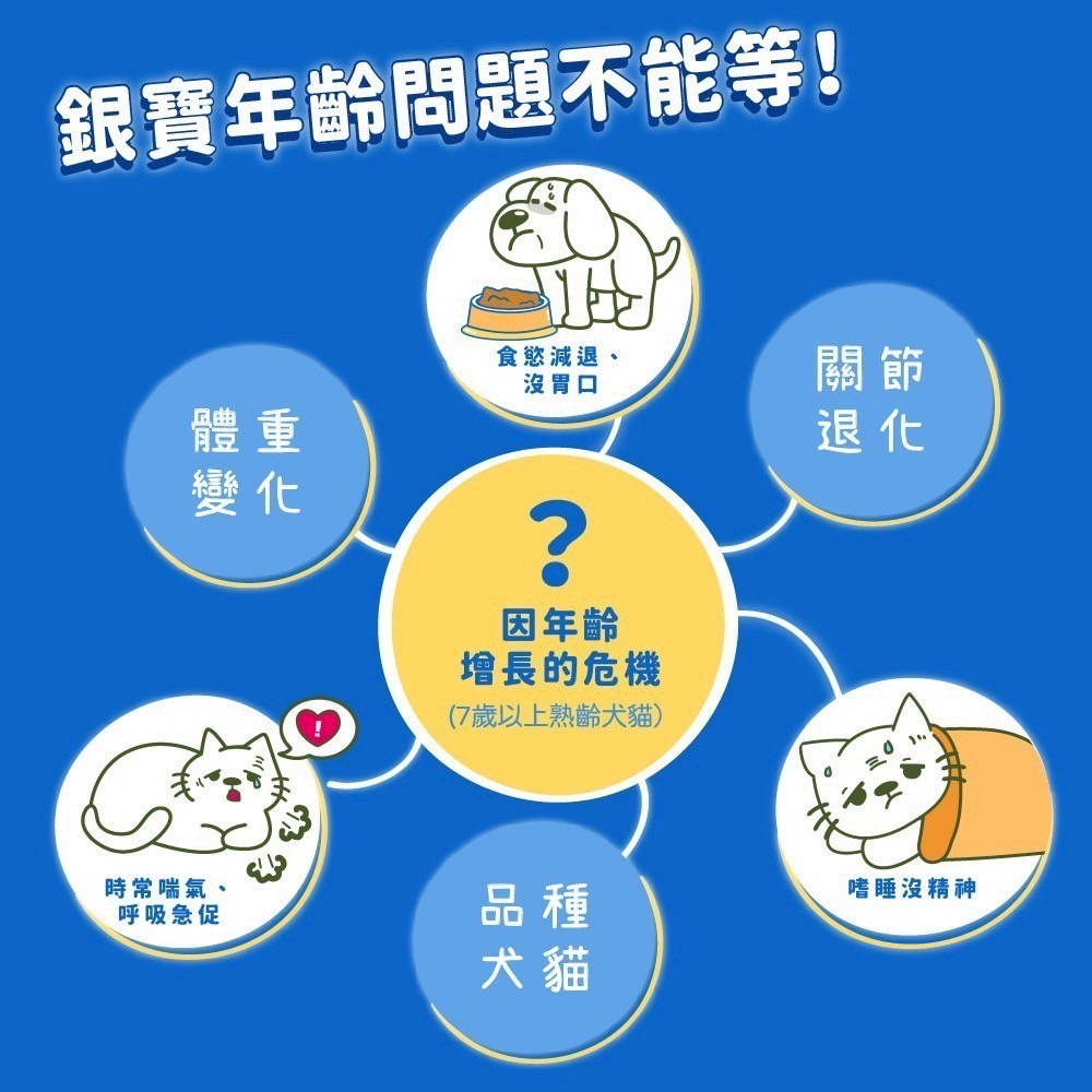 弎喵｜【毛健康】銀寶機能粉-細節圖2