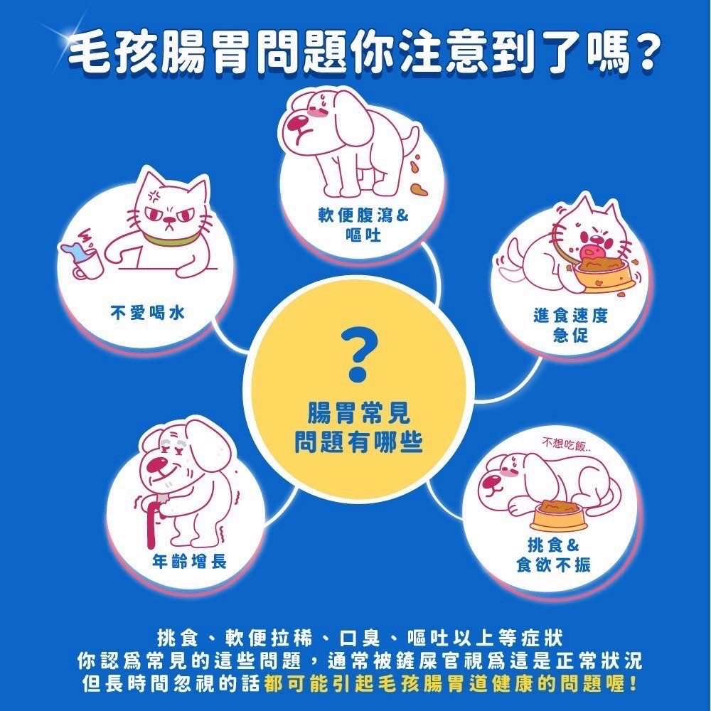 弎喵｜【毛健康】腸胃益生菌-細節圖2