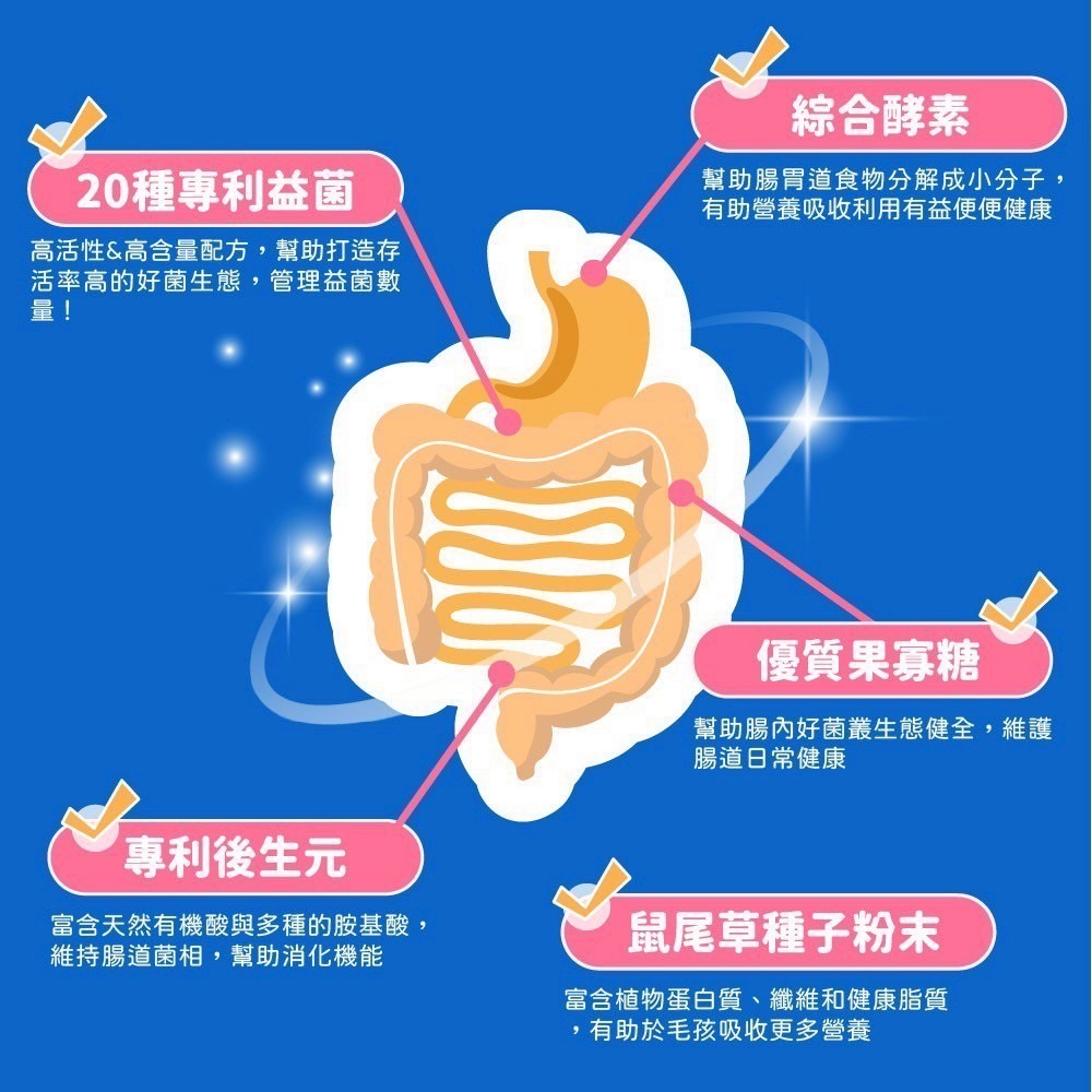 弎喵｜【毛健康】腸胃益生菌-細節圖4