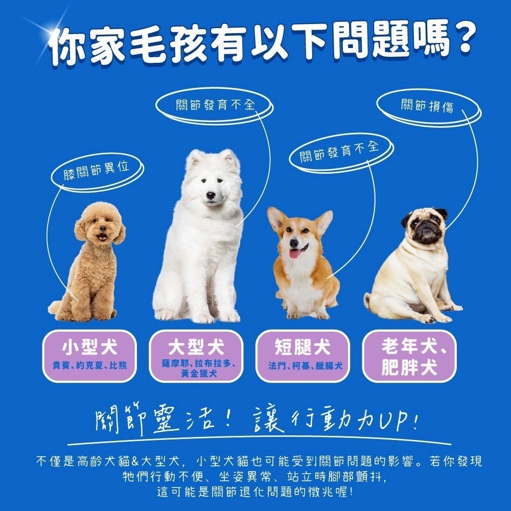 弎喵｜【毛健康】關節保養粉-細節圖2