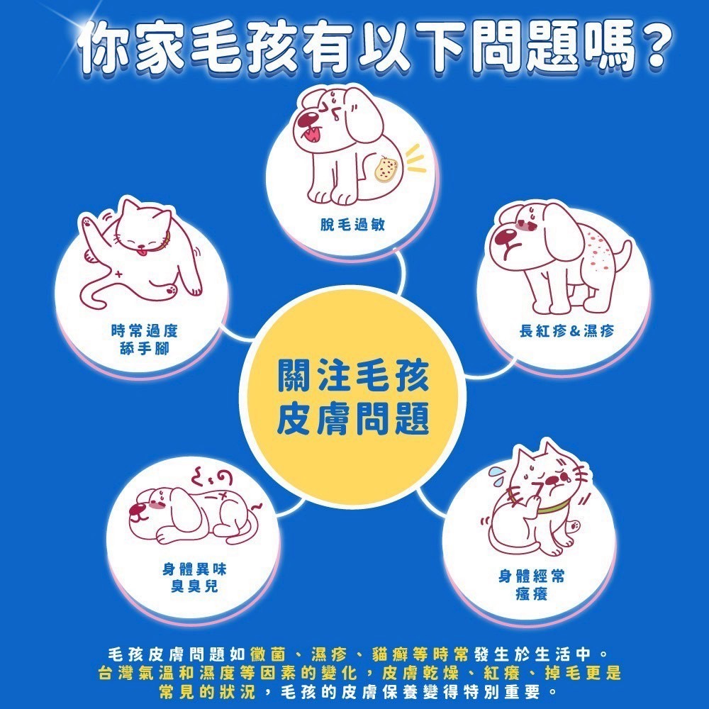 弎喵｜【毛健康】皮膚益生菌-細節圖2