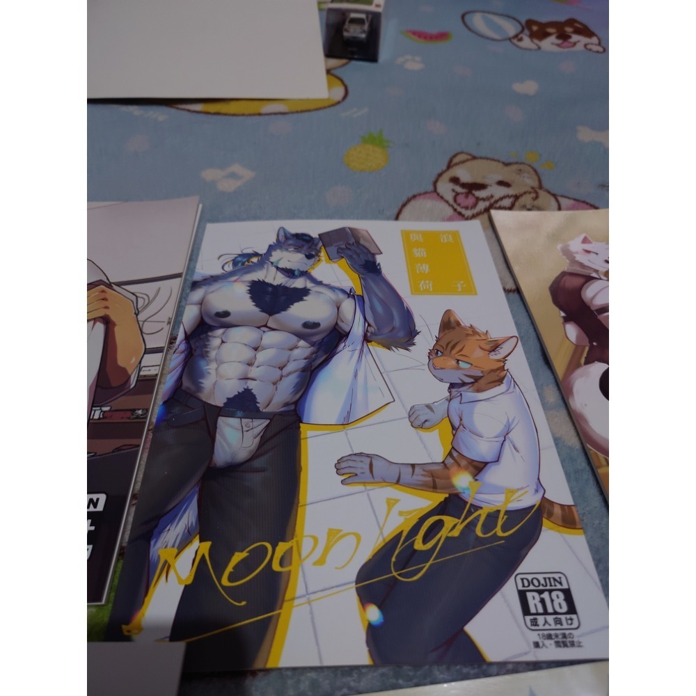 R18男同 獸人本本-規格圖2