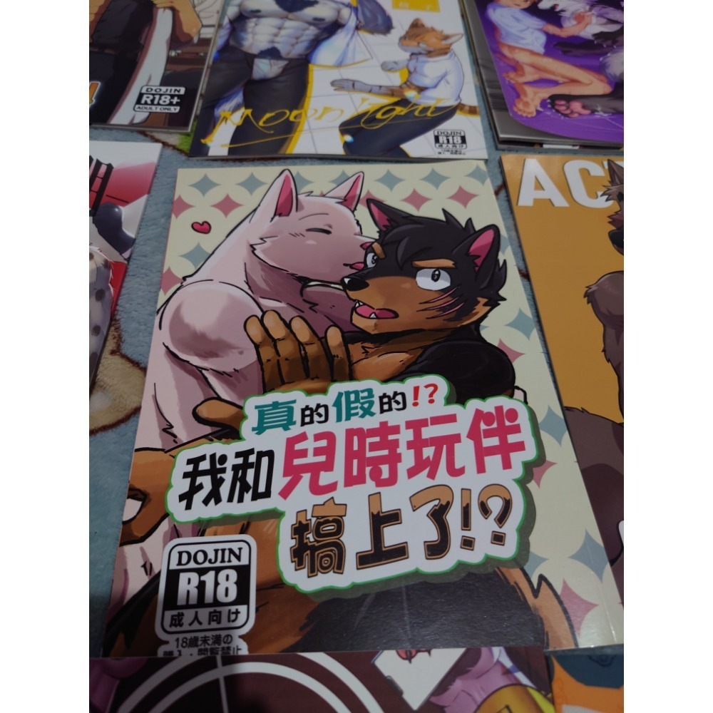 R18男同 獸人本本-規格圖6