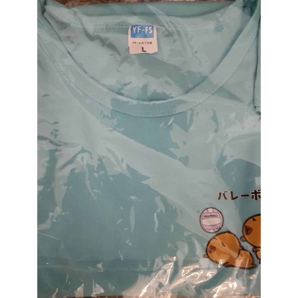 #排球衣#團體服#限量#運動衫#練習衣#水豚君-規格圖2