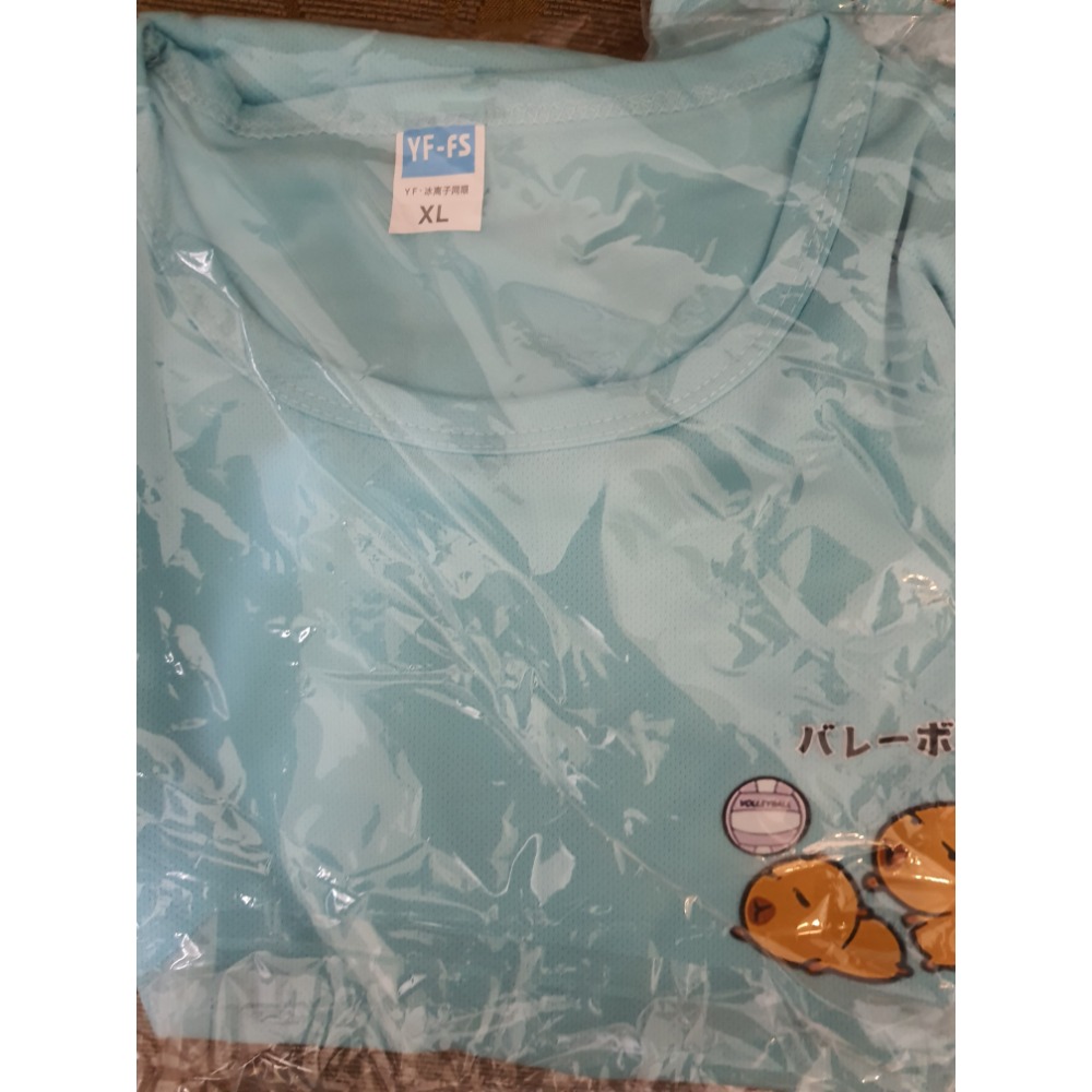 #排球衣#團體服#限量#運動衫#練習衣#水豚君-規格圖2