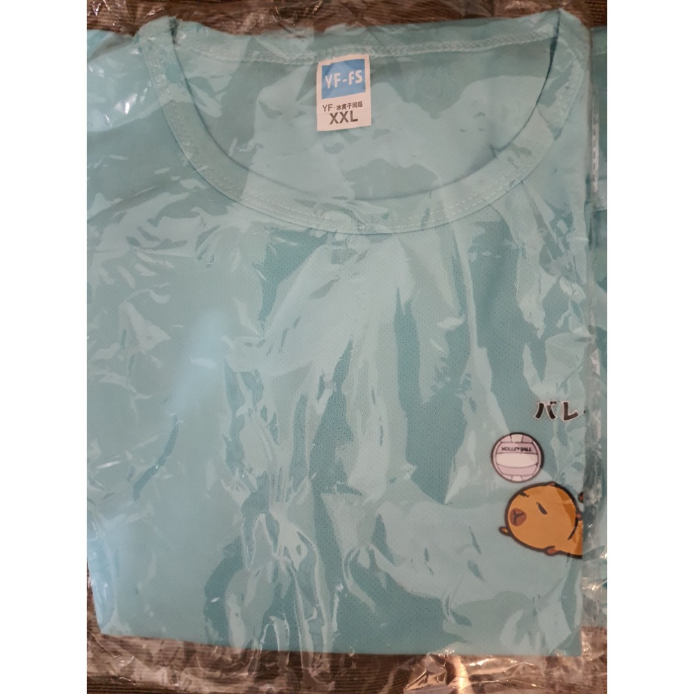 #排球衣#團體服#限量#運動衫#練習衣#水豚君-規格圖2