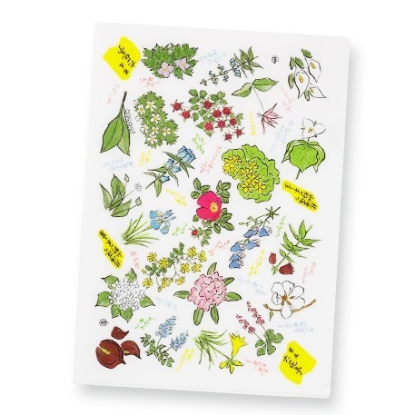 ✽DDJP小舖✽ 日本六花亭 花樣文具組  筆記本 自動鉛筆  原子筆  文件夾 紙膠帶  六花亭文具 花柄文具組 周邊-細節圖2